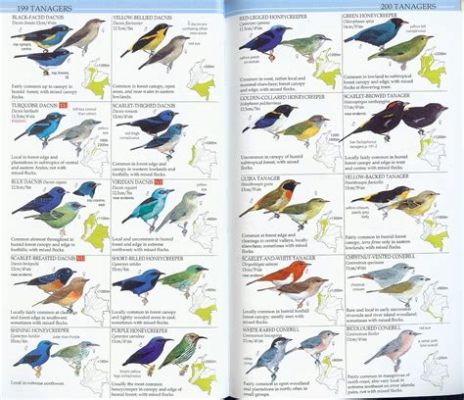  Ornithology: A Birdwatcher's Guide to the Birds of Colombia  - Soaring through Colombian Skies and Unveiling Avian Wonders!